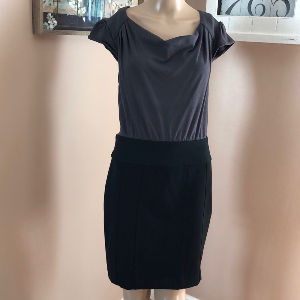 EXPRESS Gray & Black Dress Lined Lower Size 6